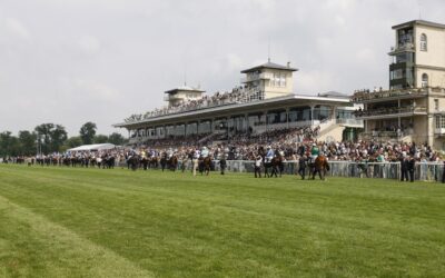 STARTERIN IN CHANTILLY