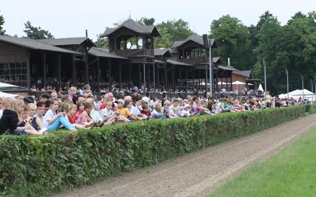 DREI VIERBEINER IN DRESDEN