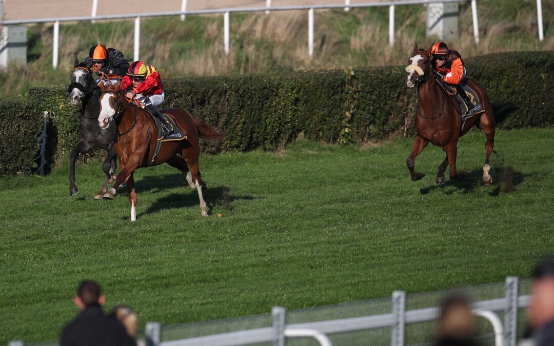 ZWEITER-DRITTER BEI DEN STEHERN