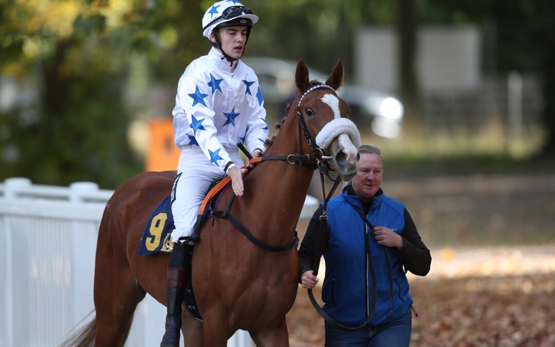 NUR KNAPP AM BLACKTYPE VORBEI