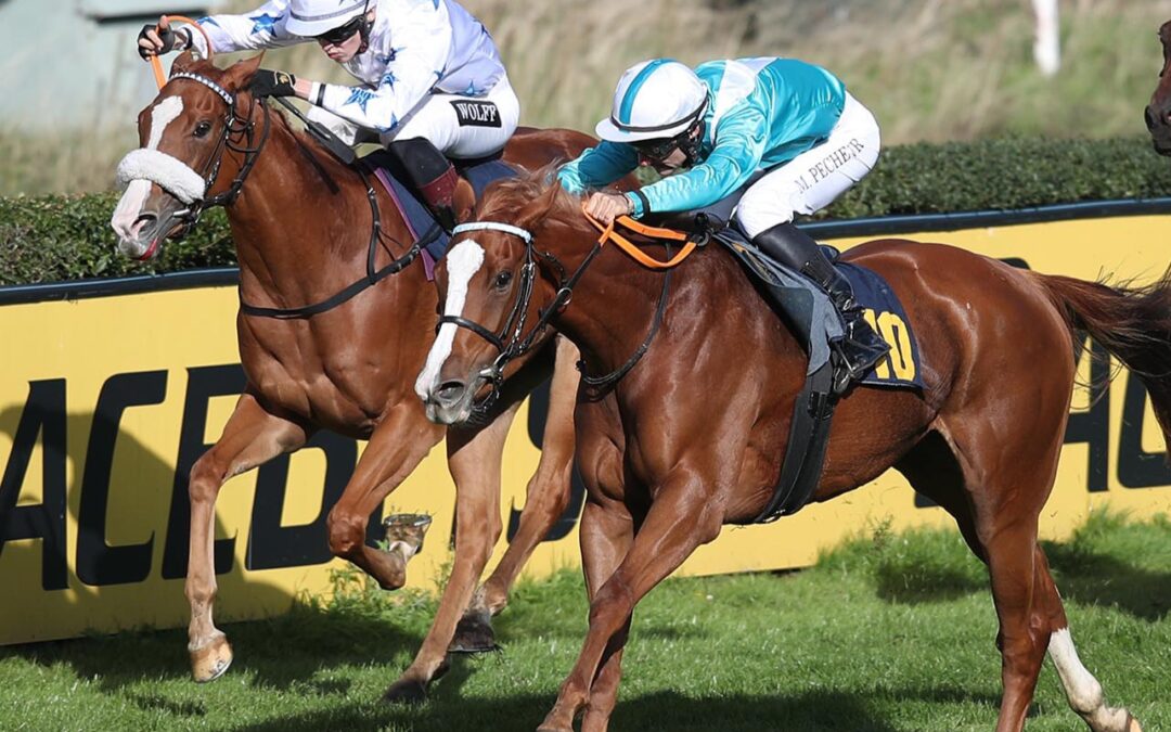 HAUCHDÜNN AN TOP PLACIERUNG VORBEI