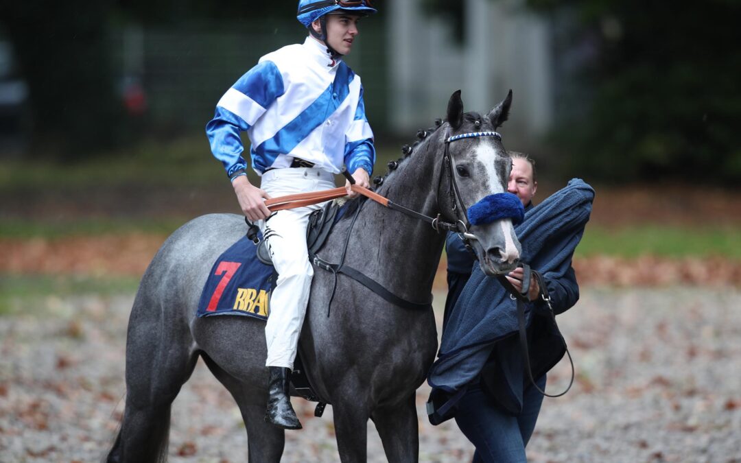 TRIO MIT “GLÜCKSBRINGER” IN DER WK