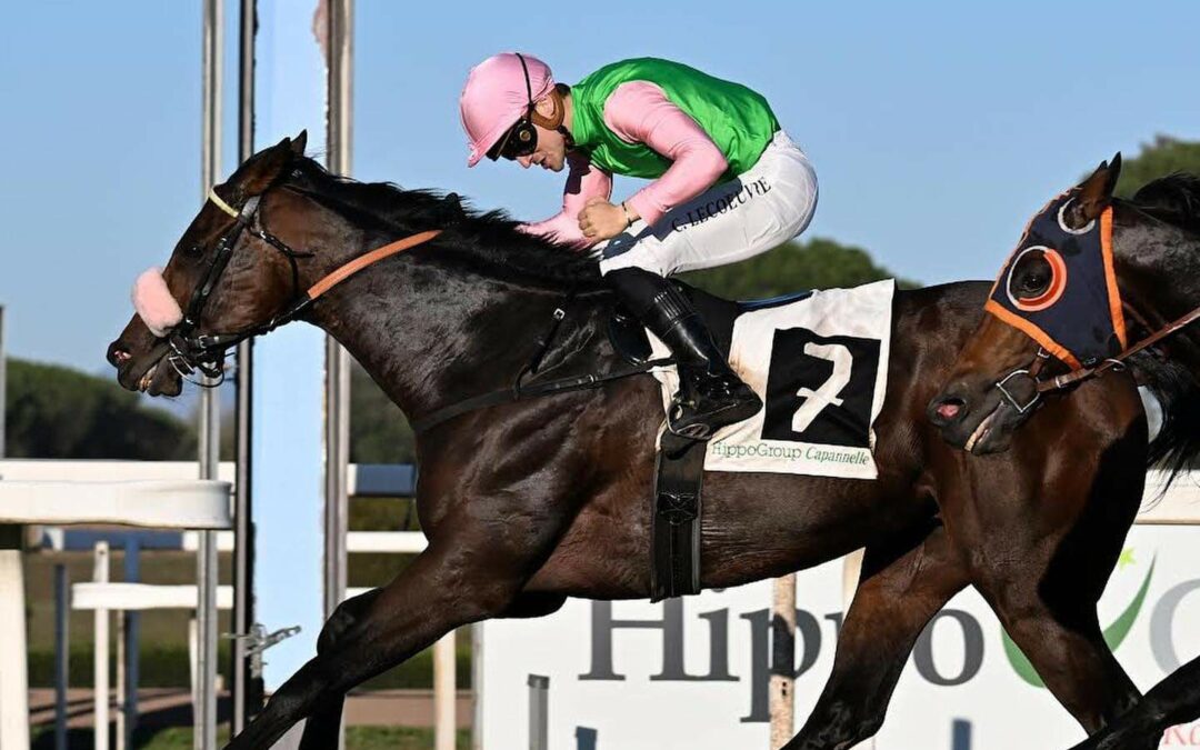 JAAA ENDLICH WIEDER RUBAIYAT