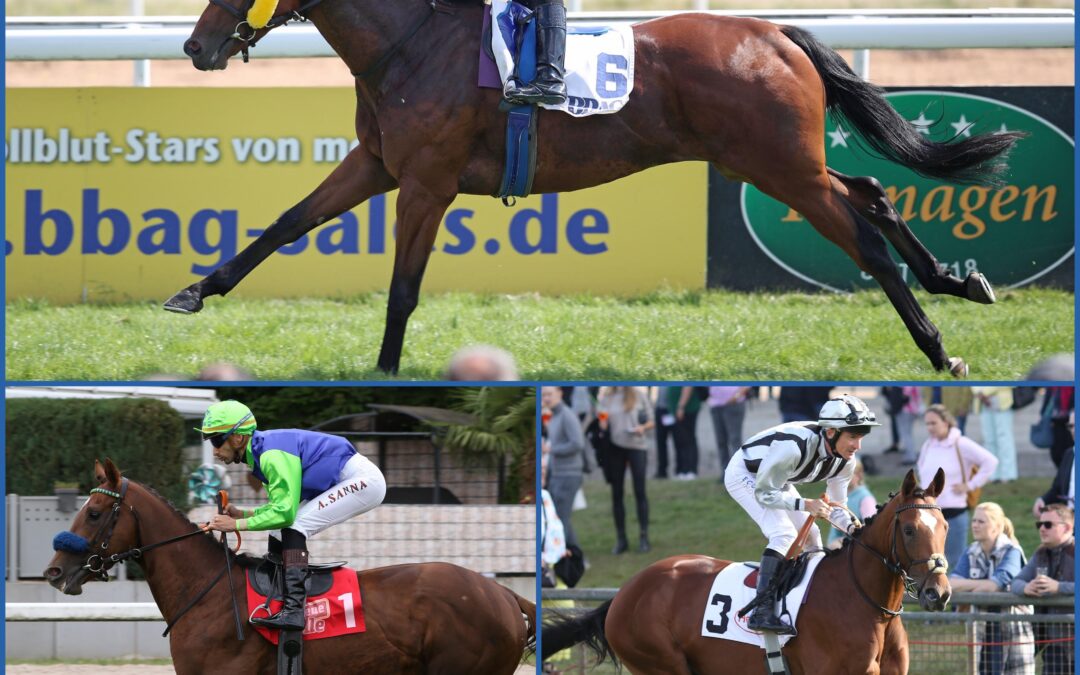 ZWEI PLUS EINS IN KÖLN