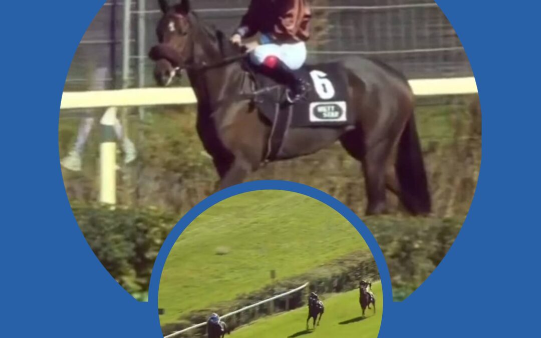 INDIRA MIT FEINEM LEBENSDEBUT