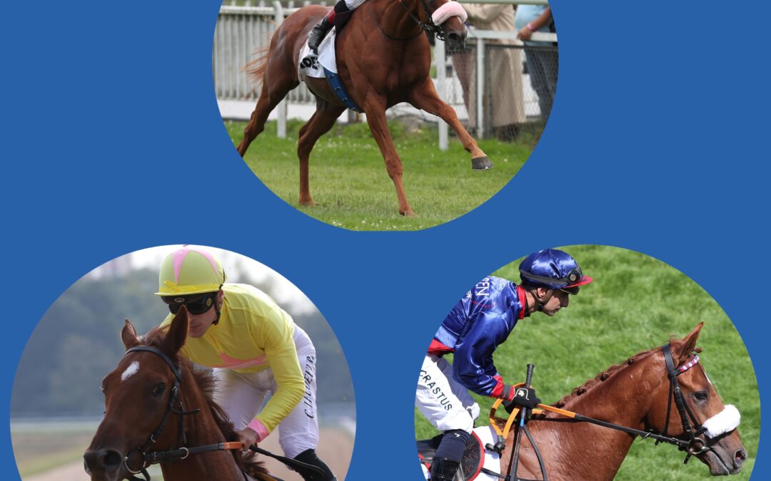 TRIO FÜR BAHREIN GENANNT