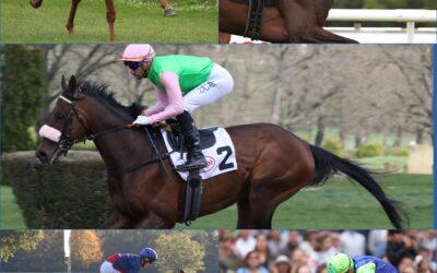 GREWES EIGENER CHAMPIONS DAY