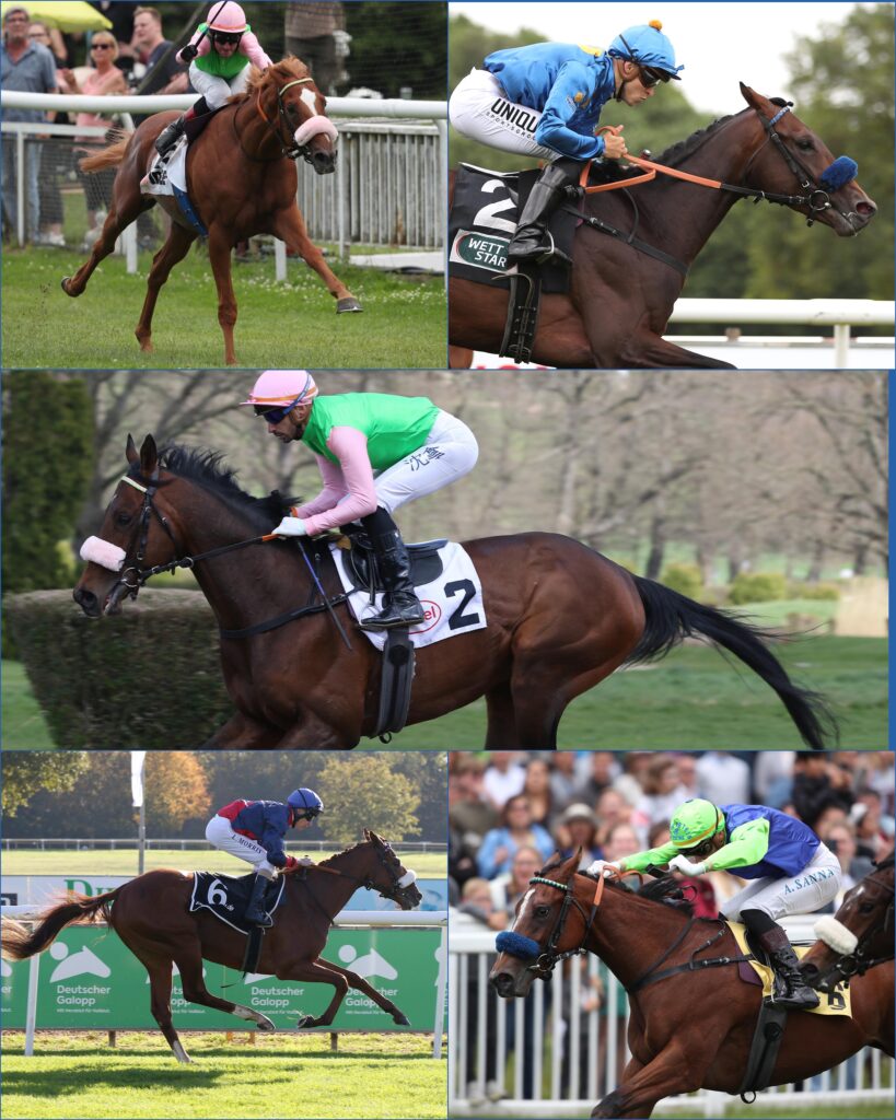 GREWES EIGENER CHAMPIONS DAY