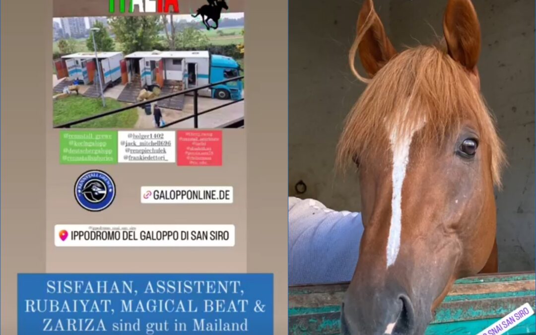 GUT IN MAILAND ANGEKOMMEN