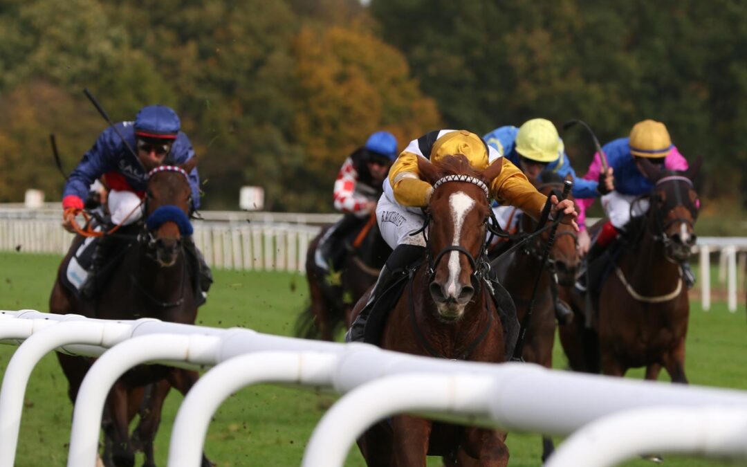 ENDLICH BLACKTYPE + STARKE FÜNFTE