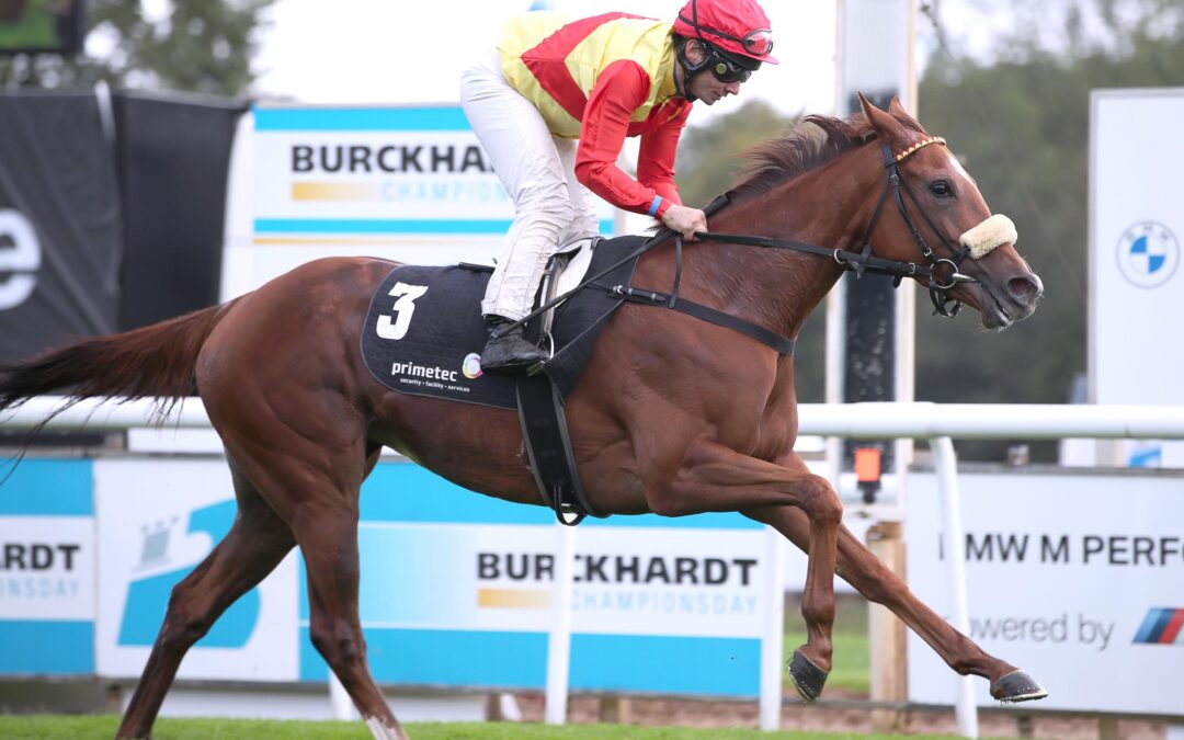 OLPHA NUN NICHT MEHR SIEGLOS