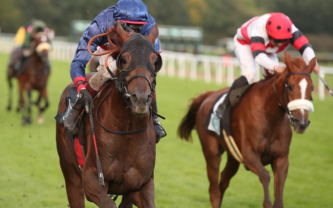 WONDERFUL EAGLE FLIEGT ZUM SIEG