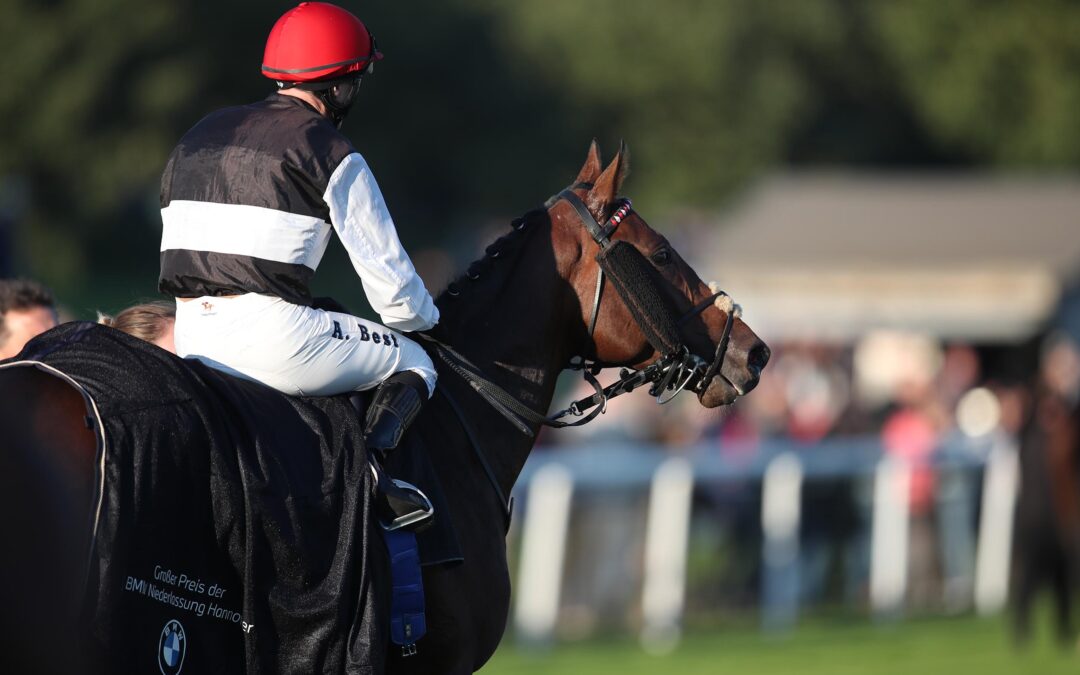 DOCH ZU SCHWER ANGETROFFEN