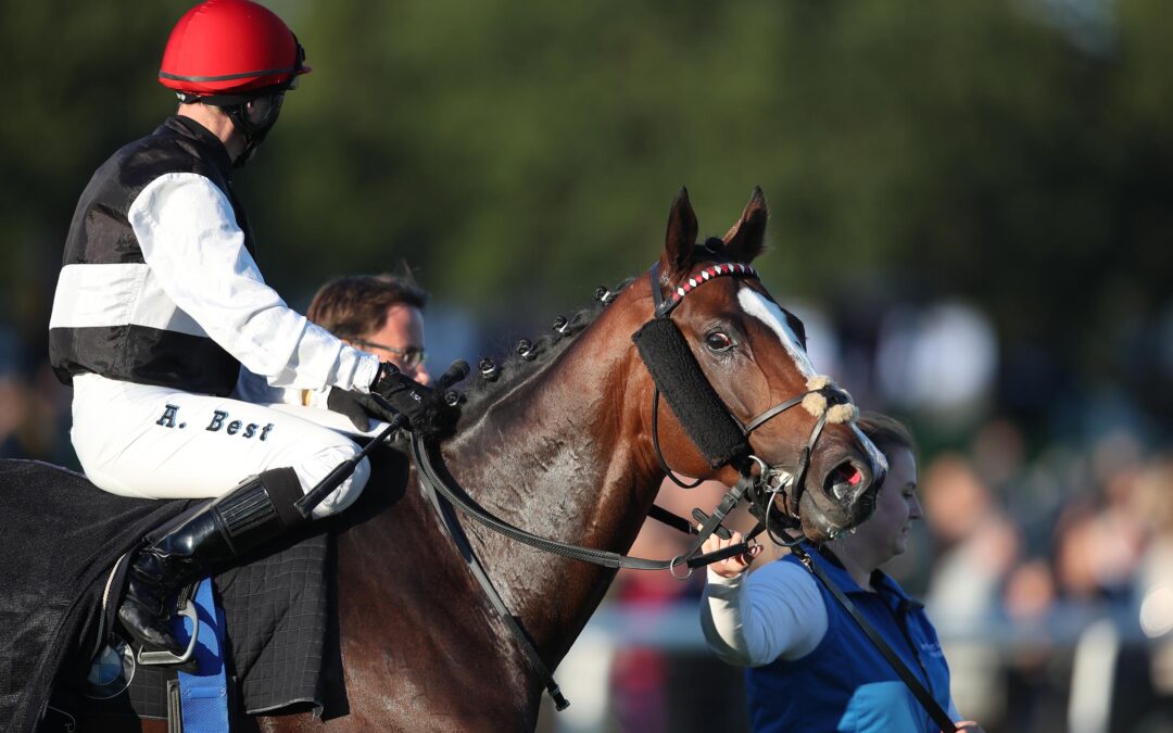 ERFOLGLOS IN HOPPEGARTEN