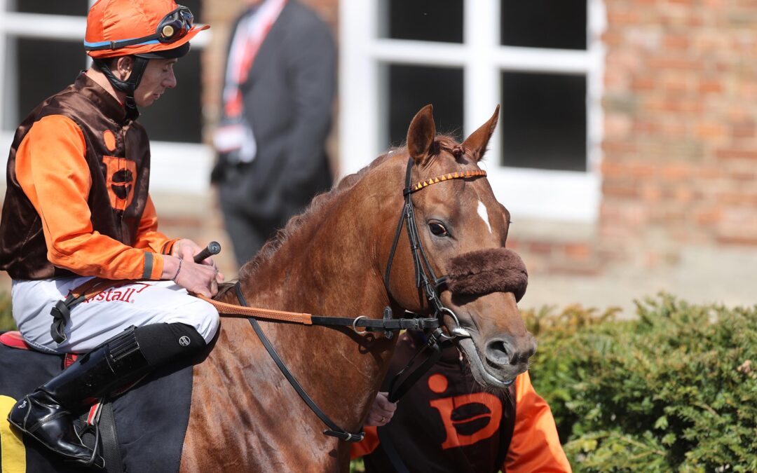 DIESMAL OHNE MÖGLICHKEITEN