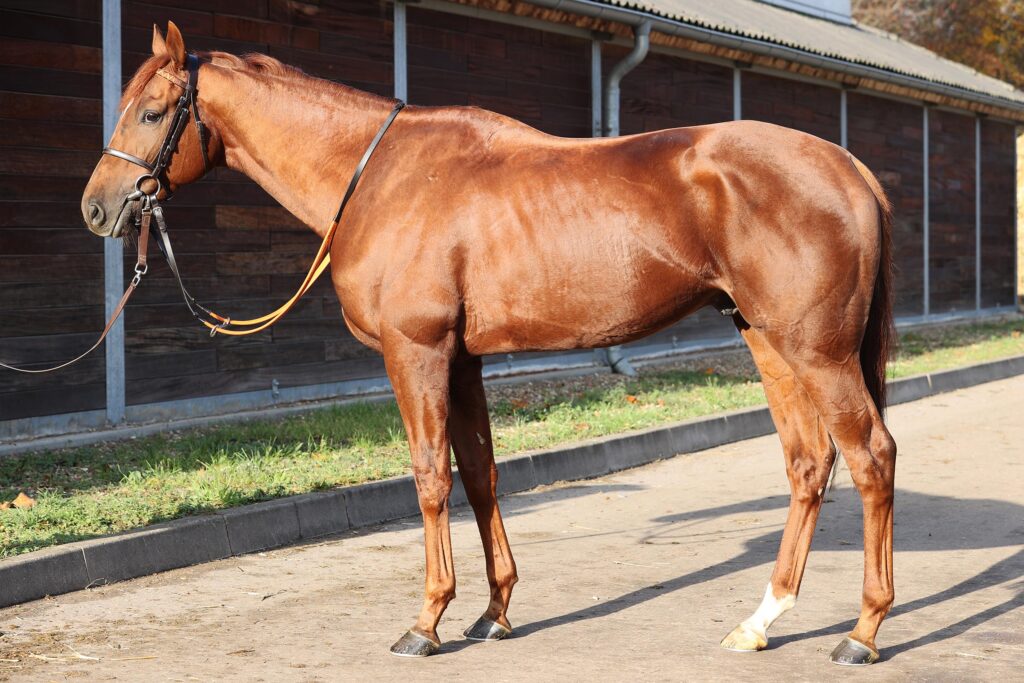 DER „SIR“ UND SILUTO IN BERLIN