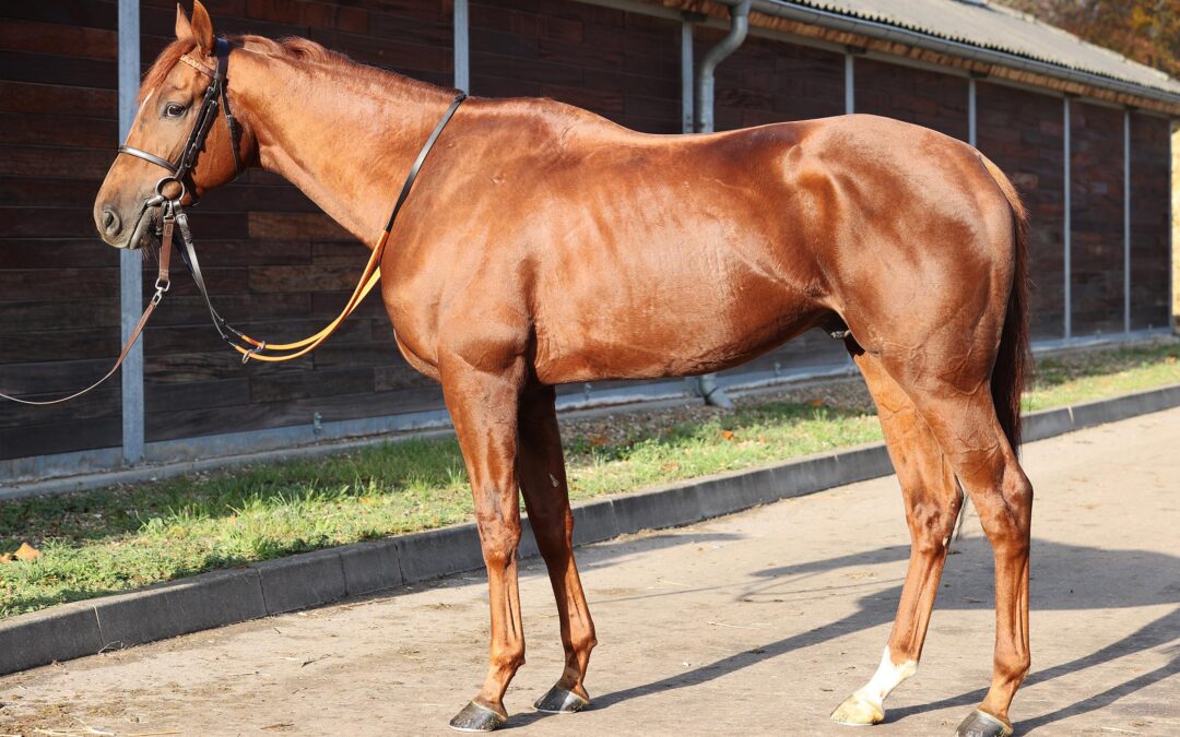 DER “SIR” UND SILUTO IN BERLIN