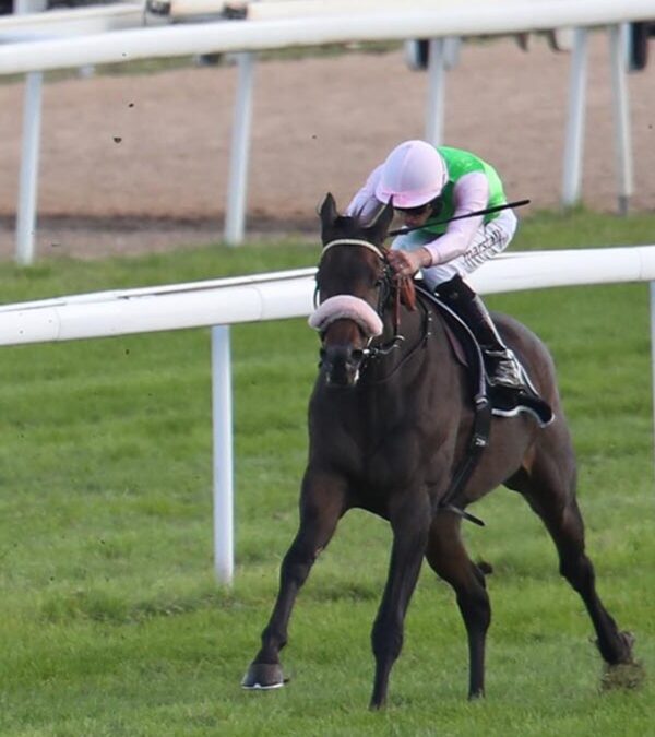 ALS FÜNFTE ACHTBAR VERKAUFT