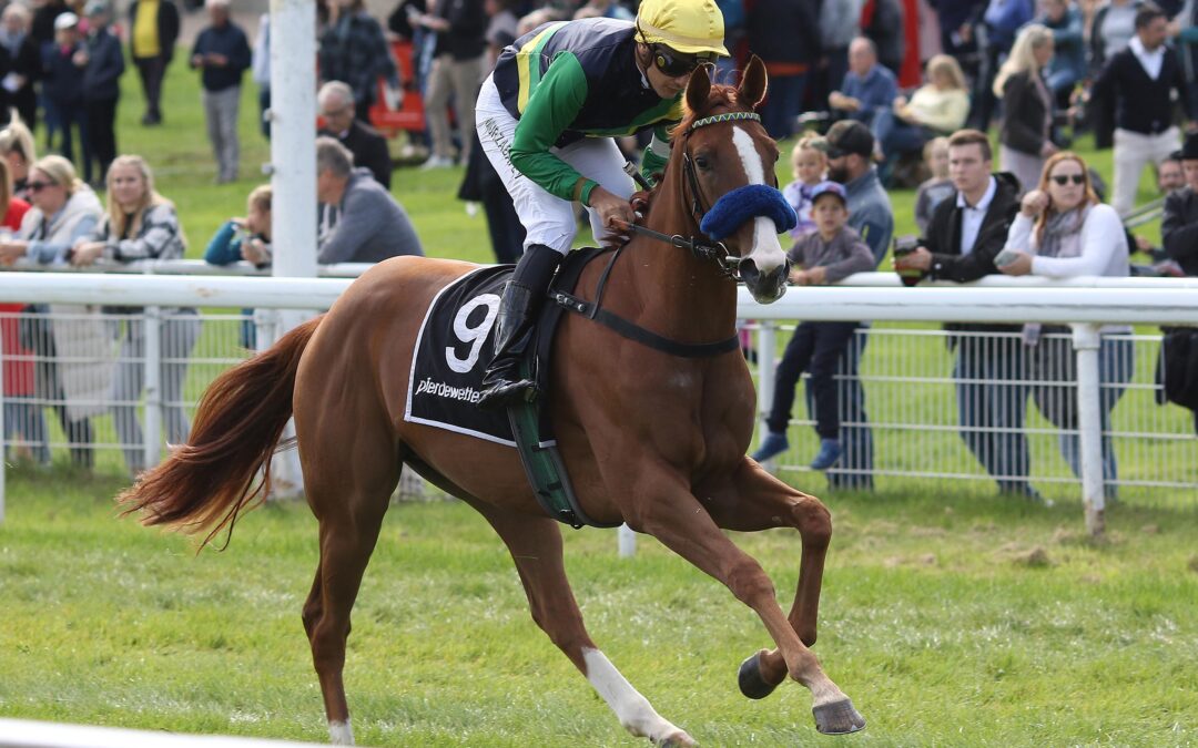 DEN GESCHWISTERN FOLGEN