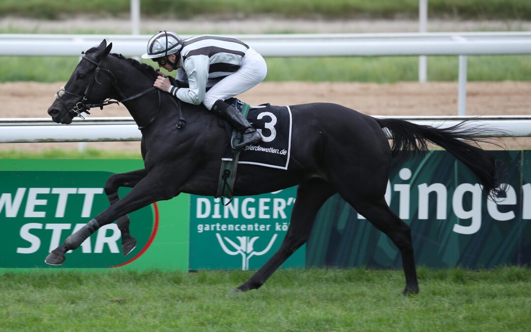 GUTE CHANCE IN CLAIREFONTAINE