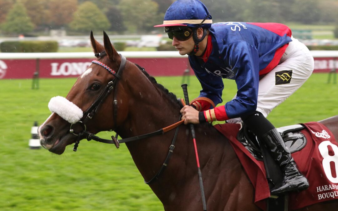 GLÜCKLICHERE HAND ERHOFFT