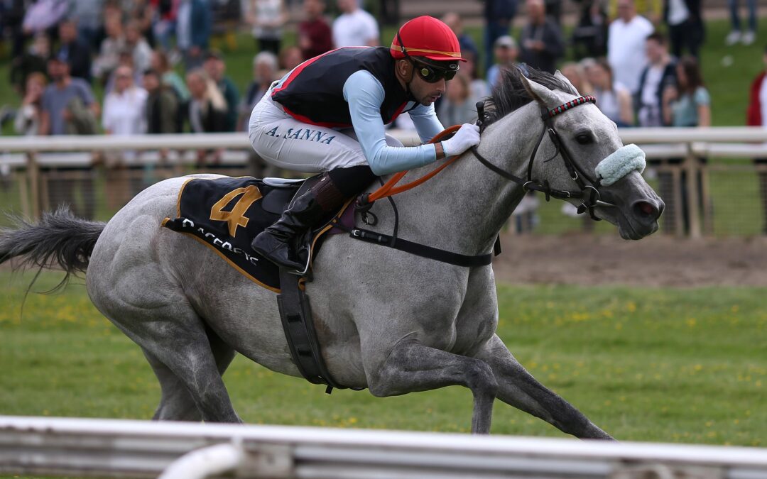 NACH PAUSE STARKE DRITTE IM BBAG