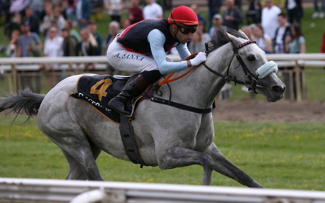 STUTENPOWER FÜR HALLE