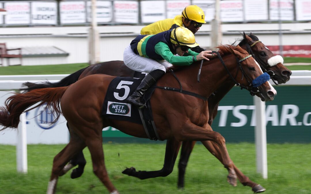 Kampf und Sieg Muskoka