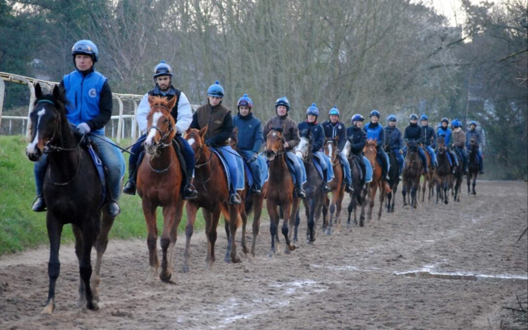 AUCH TEAM GREWE JETZT “MILLIONÄR”
