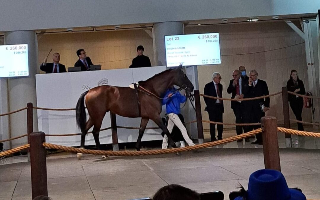 260.000 FÜR VIRGINIA STORM