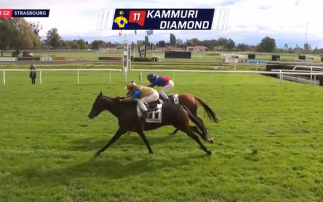 ERST GANZ ZULETZT ABGEFANGEN