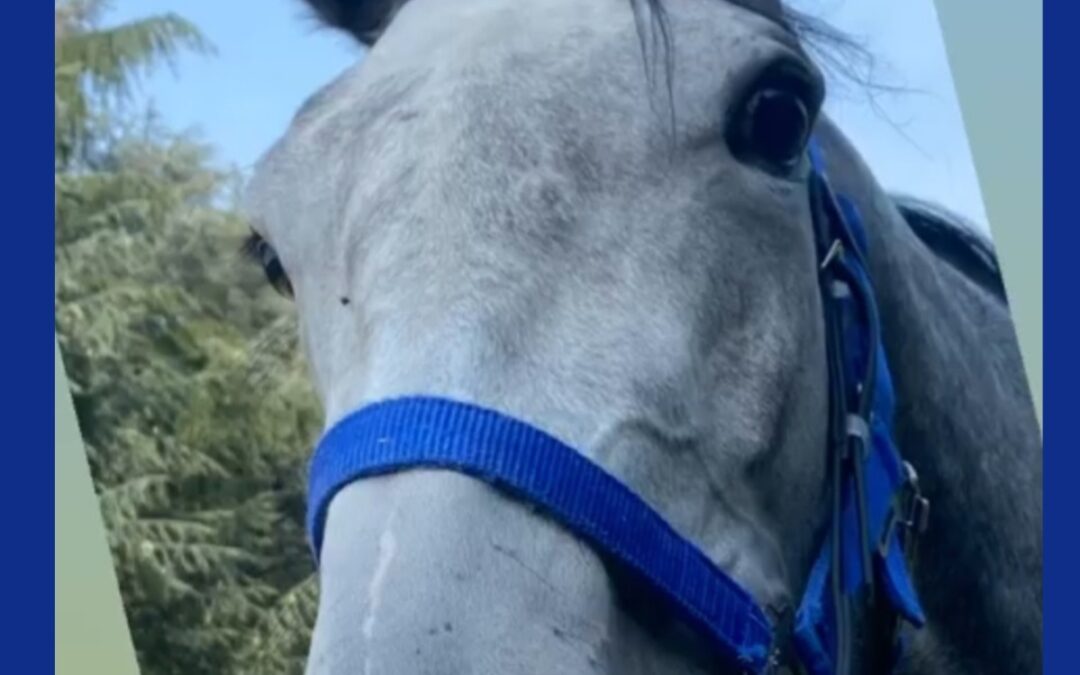 Buon giorno da Milano