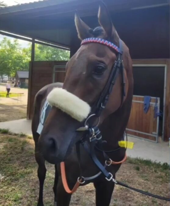 DIESMAL OHNE GELD GEBLIEBEN