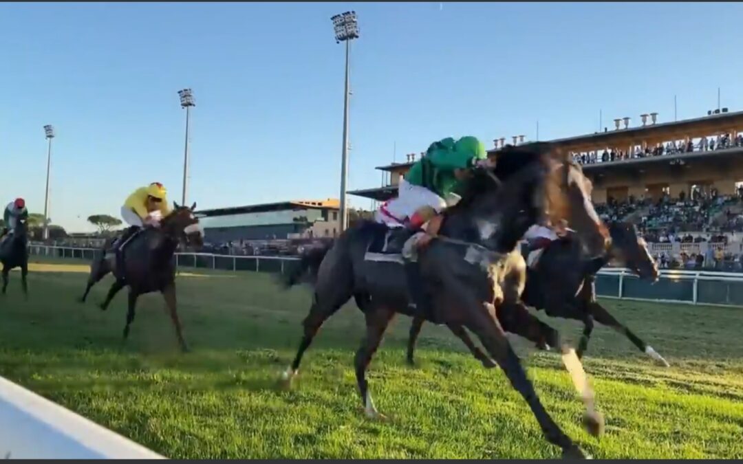 MIT STEIGERUNG VIERTER