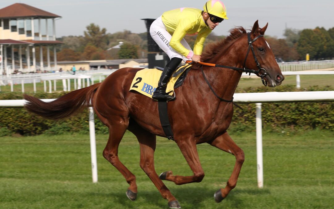 DOPPELSPITZE IM PIAZZALE