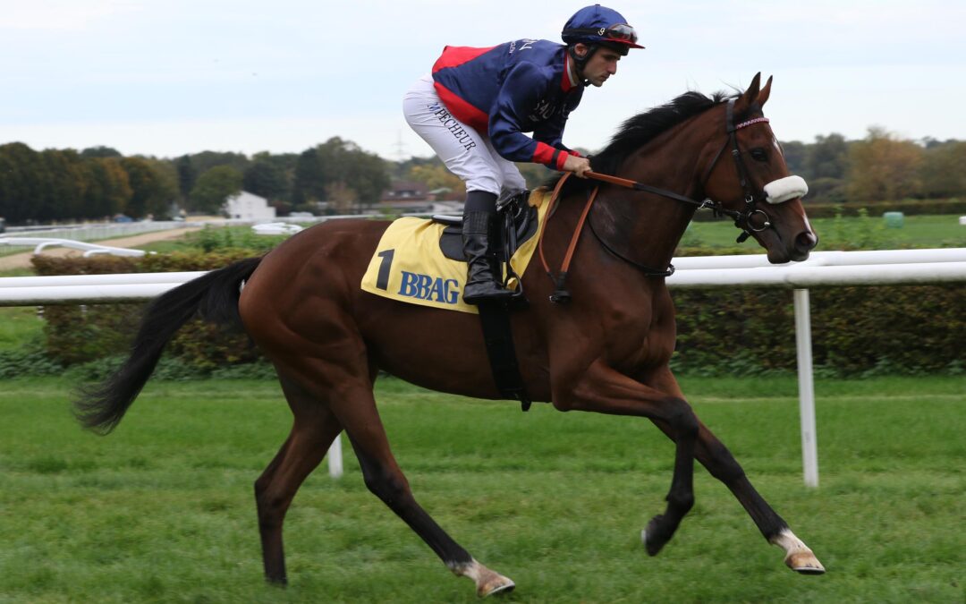 BESTE CHANCEN IN ANGERS