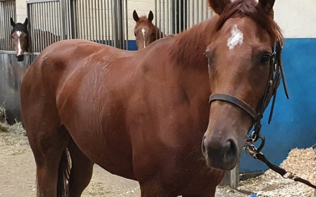 ERSTEN SIEG IM VISIER