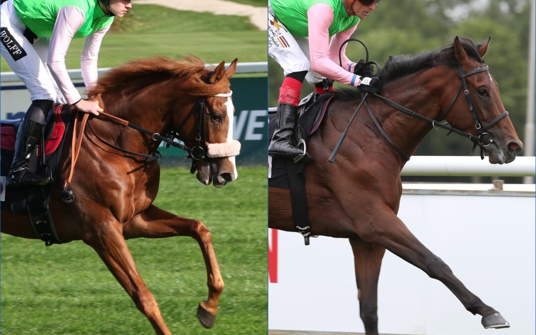 ZWEI DARIUS GOES PORNICHET