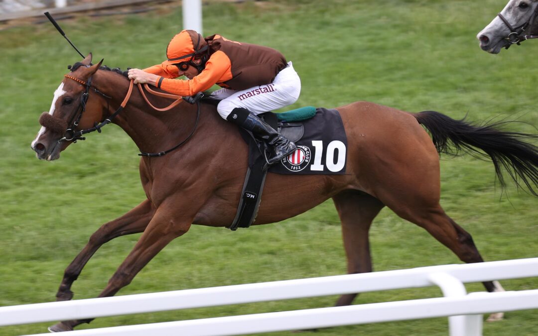 ZU “SCHWER” ANGETROFFEN