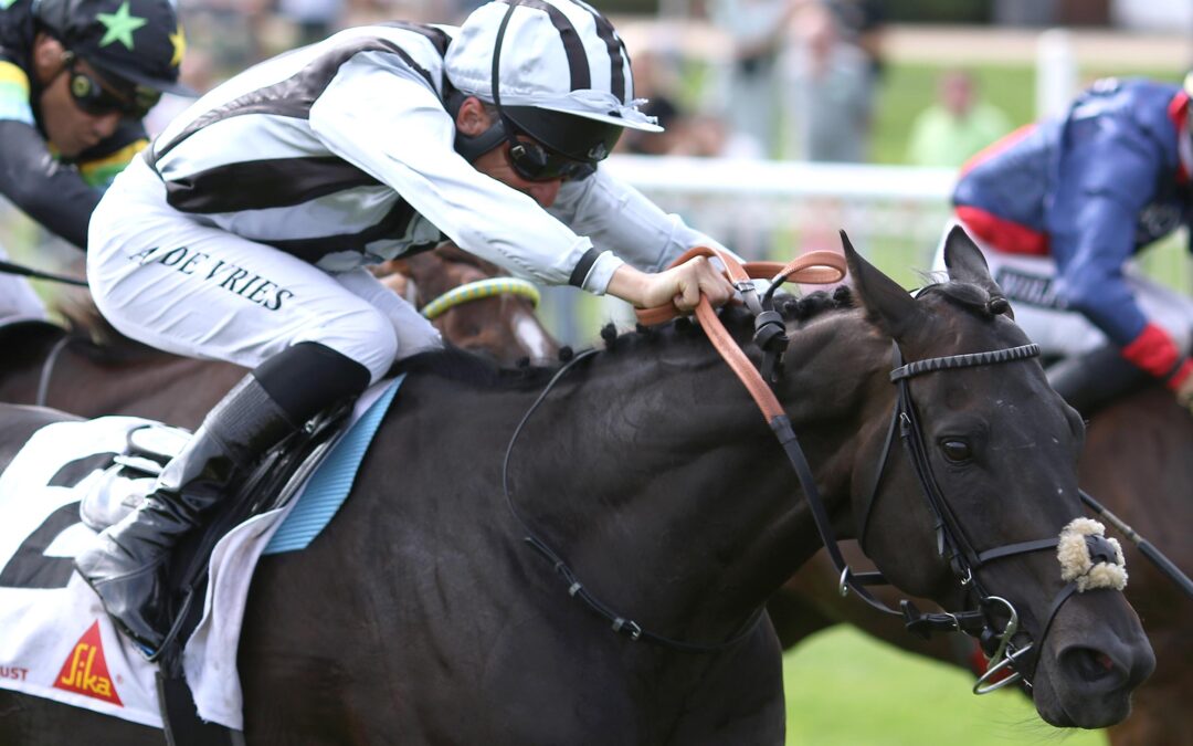 FÜNFTEN TREFFER IM BLICK