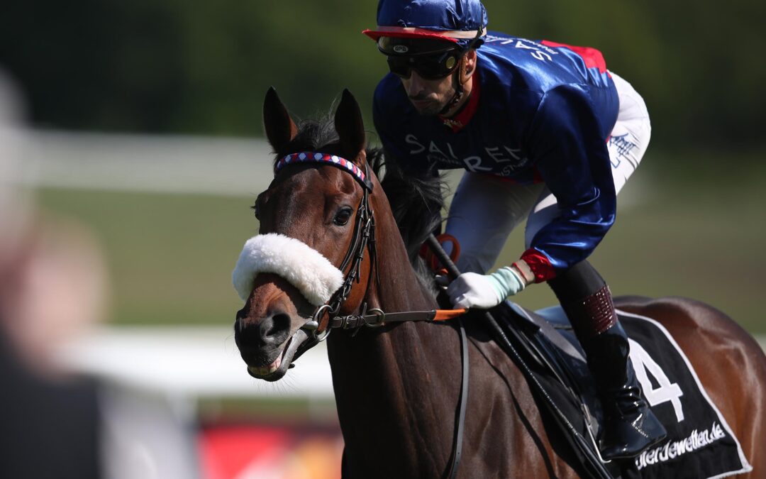 LISTENTREFFER IM BLICK