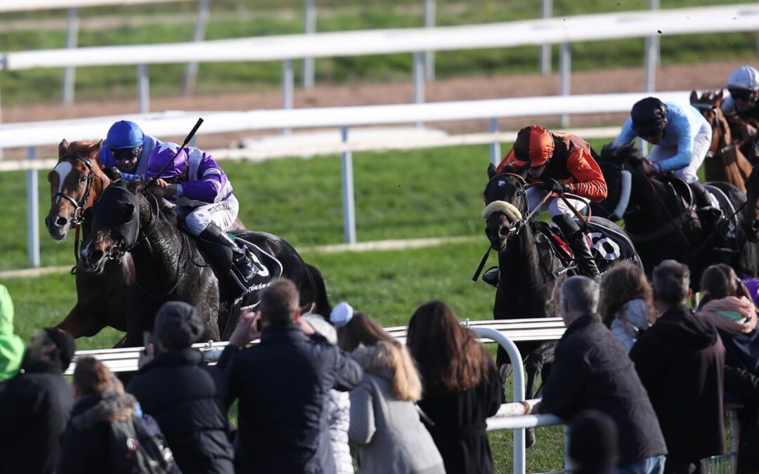 DIESMAL STARKE DRITTE