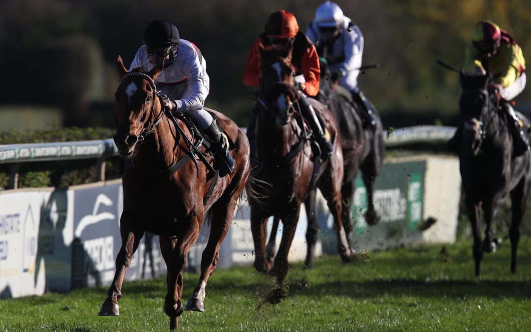 NACH LANGER PAUSE ZWEITE