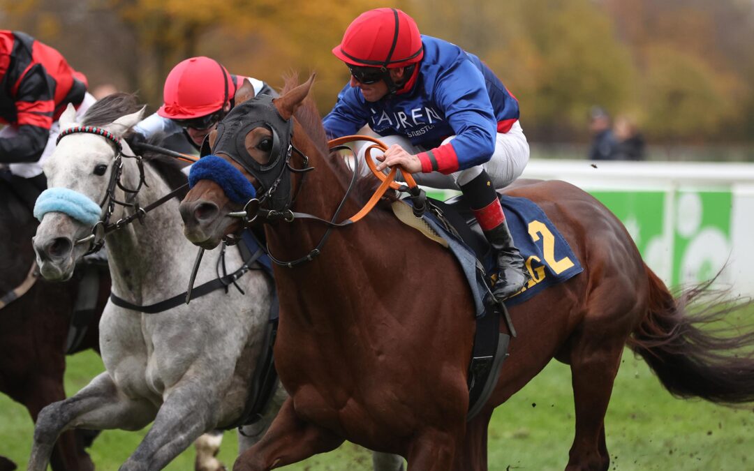 KOPF ENTSCHEIDET STALLDUELL