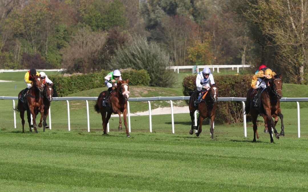 Payam debutiert ordentlich