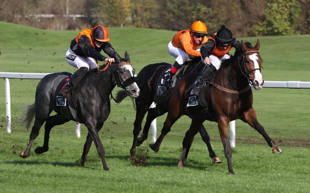 UNGLÜCKLICHER ZWEITER