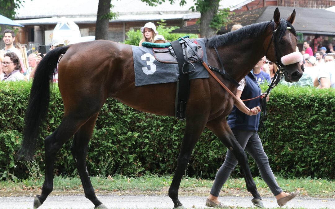 RUBAIYAT: DIE “MÄDELS” WARTEN SCHON