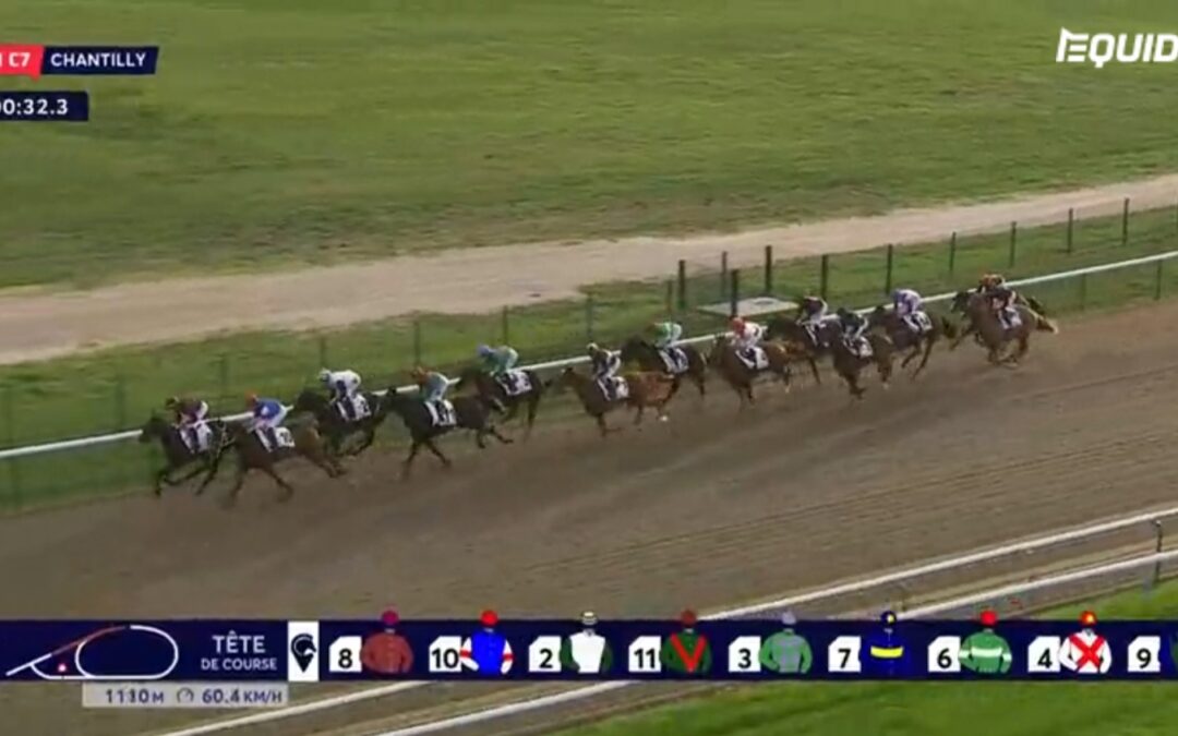 DIESMAL OHNE MÖGLICHKEITEN