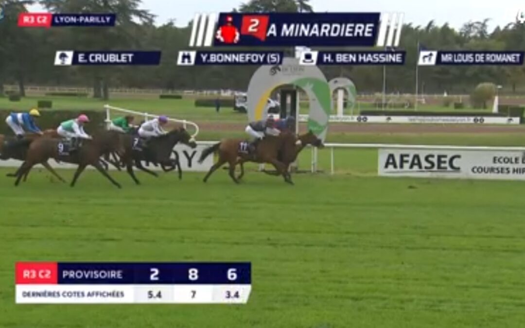 WIEDER PLACIERT GELAUFEN