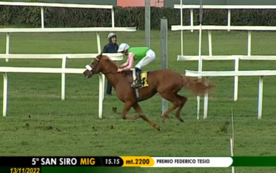 DIESMAL GRUPPE II PLACIERUNG